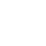 Made in New York